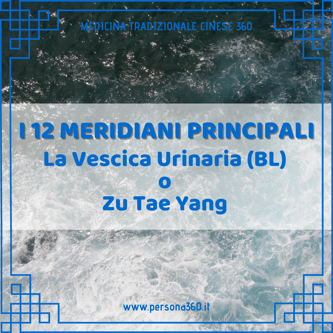 I 12 Meridiani Principali La Vescica Urinaria Bl O Zu Tae Yang Persona 360